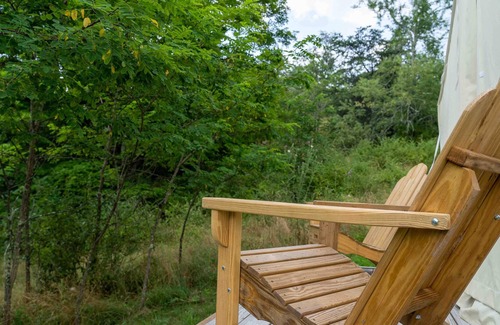 Mathias RV Rental | Tentrr State Park Site - WV Lost River State Park - Site F - Single Camp