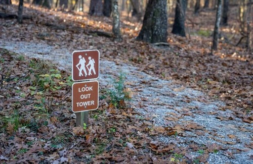Quitman RV Rental | Tentrr State Park Site - Mississippi Clarkco State Park - Highridge D - Single C