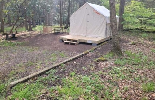 Swanton RV Rental | Tentrr State Park Site - Big Run State Park - Site B