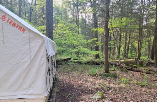 Swanton RV Rental | Tentrr State Park Site - Big Run State Park - Site B