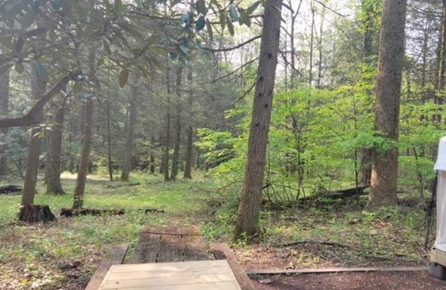 Swanton RV Rental | Tentrr State Park Site - Big Run State Park - Site B