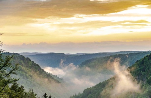 Davis RV Rental | Tentrr State Park Site - WV Blackwater Falls State Park - Site C - Double Camp