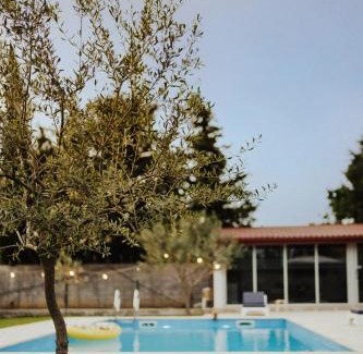 Seoci Villa | Terra