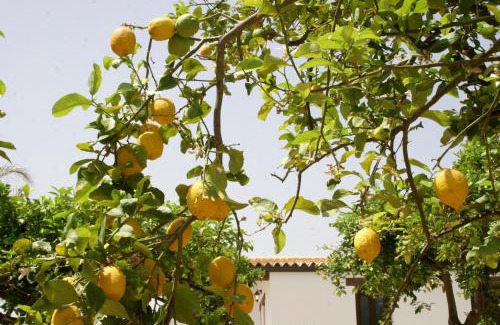 Noto Marina Hotel | Terra Dei Limoni