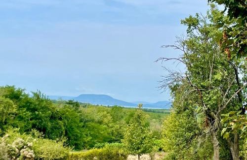 Balatonlelle Villa | TerraVino Retreat at Lake Balaton
