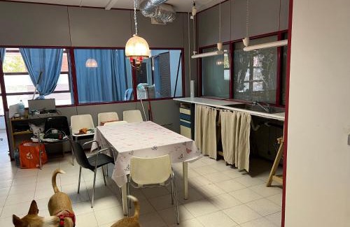Sabadell Apartment | Tessas apartments Sabadell 3