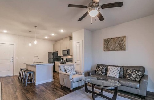 Elmo Apartment | Texas Corporate Housing Solutions Professional Apt