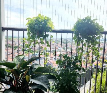 Van Giang Apartment | Thỏ's homestay -căn hộ 2n2wc khu Onsen, khu Căn hộ cao cấp nhất tại Ecopark Hưng Yên