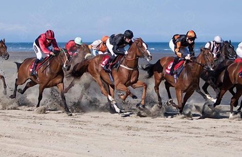 Laytown Cottage | Thatcher's Rest CottagenWinner 'Best beach holiday rental in Europe'.