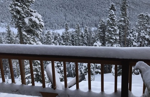Saint Mary's Cabin | The Alice Cabin in Winterland!