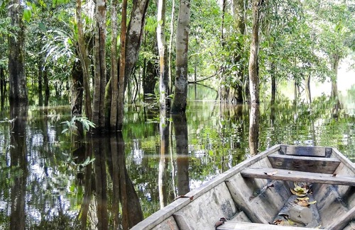 Leticia House | The Amazon floating hotel