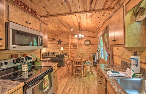 Helen Cabin | ‘The Apple Dumpling’ Cabin: Pool Table, Grill