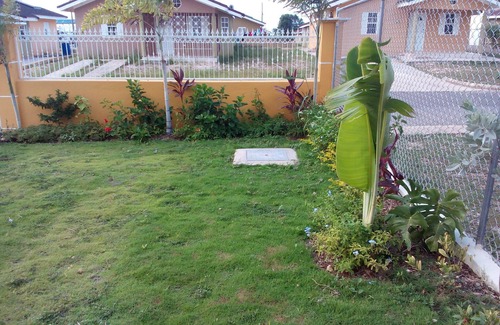 Falmouth House | The Authentic Jamaican Experience