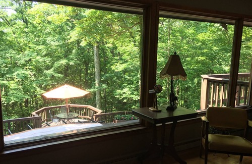 West Lafayette House | The Baumhaus (Treehouse)
