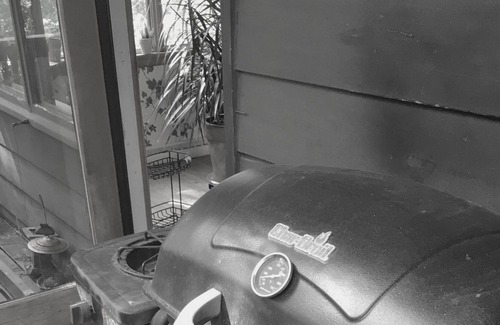 West Lafayette House | The Baumhaus (Treehouse)