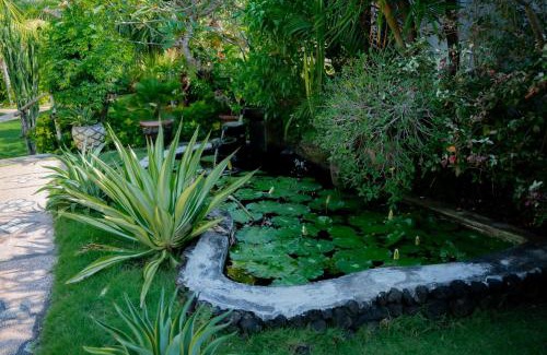 Purwakerti House | The BBQ Guest House