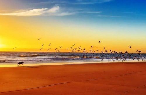 Sutton-on-Sea House | The Beach House! Just Steps from the Beach & Attractions - Perfect for Couples & Family Stays with Private Parking, Large Garden & Fast Free WiFi - The Perfect Seaside Getaway!