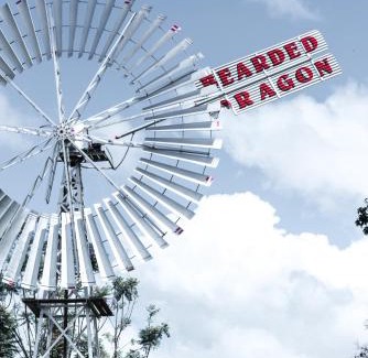 Tamborine Hotel | The Bearded Dragon Boutique Hotel