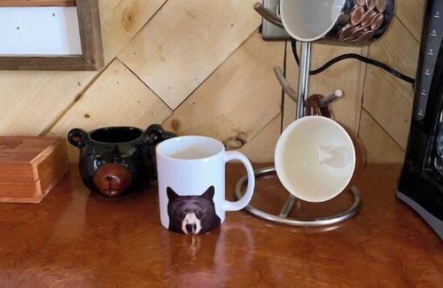 Seneca Cabin | The Bear’s Den. 1 bedroom 1 bathroom. Sleeps 4