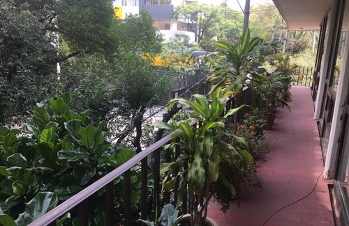 La Condesa Apartment | THE BEST PLACE IN THE HEART OF CONDESA