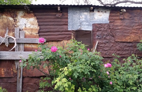 Marathon House | The Blas Payne is a historically sigificant true Mexican adobe.