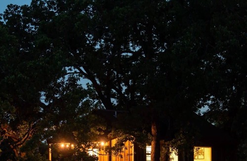 Elm Mott RV Rental | The Blue Jay Treehouse 15MIN to Magnolia & Baylor