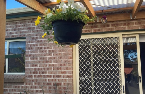 Balgowlah Villa | The Book Nook - 2 b/rm 80’s hideaway near Manly & easy Sydney access