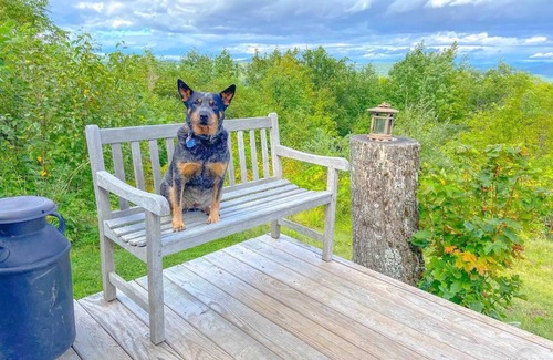 Corinth Cabin | The Cabin Hill at Taplin Hill Farm