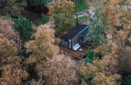 Wilsum Cabin | The Cabin on the Hill is situated among the birch trees on a hill with unobstructed views on all sides.