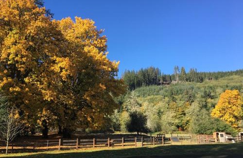 Sappho House | The Cabins at Beaver Creek