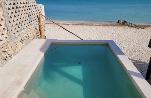 Chuburna Puerto Apartment | The Cenote suite, detached room, with its own private pool