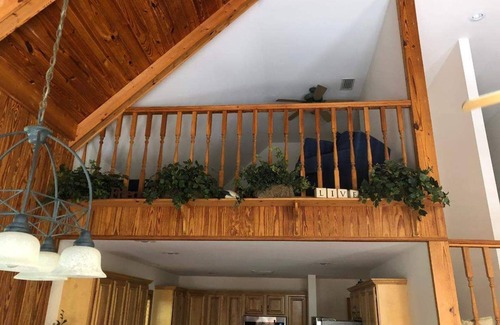 Branford House | The Coppertop Inn on The Ichetucknee River Pets are Welcome 50 per pet fee