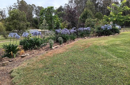 Mogo Cottage | "The Cottage" Ride Mogo MTB Trails and stay