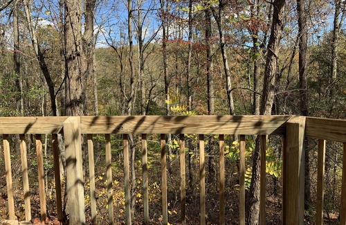 Lancaster Cabin | The Craft House - Cutest little Cabin you ever did see!