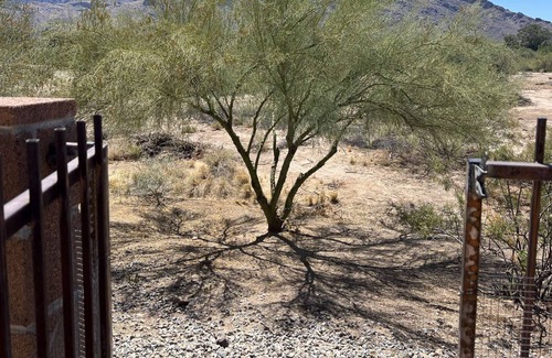 Oro Valley House | The Desert Oasis at #LambertPark: 4BD, Mountain Views, Gym, Pool & Spa, Pool Table, Cotton Bedding