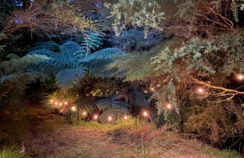Raglan House | The Divvy Hut Raglan Retreat