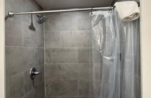 Winston - Salem Apartment | The Downtown Moxie!