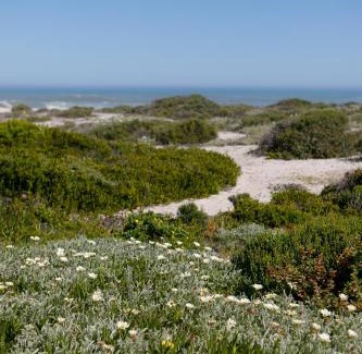 Yzerfontein Villa | The Duinhuis Yzerfontein