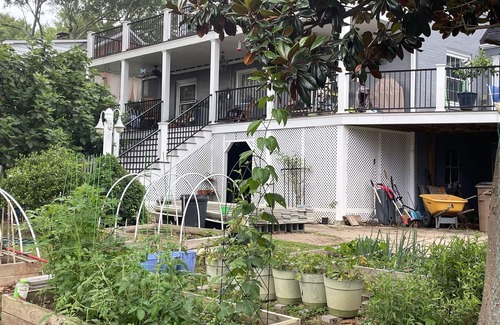 Shelby House | The Fig Tree Garden House.nCasual elegance in a park like setting