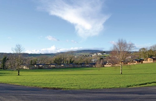 Dawlish House | The Firs Plus are an upgrade from the Firs mini lodge and has 3 bedrooms.