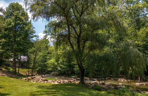 Goldbond Cabin | The Fishing Creek Cabin at Four Fillies Lodge