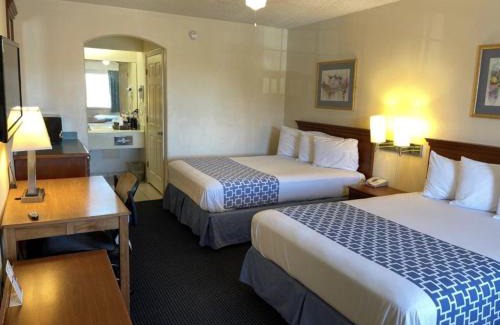 South Padre Island Hotel | The Flamingo - South Padre Island