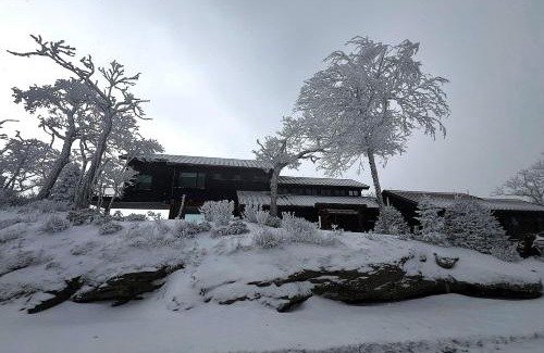 Banner Elk House | The Flying Eagle at Eagles Nest