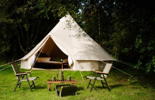 Killotteran Resort | The Forest at Mount Congreve Gardens