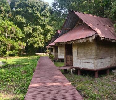 Havelock Island Cabin | The Forest Elephant - Formerly known as the Flying Elephant