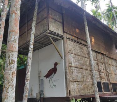 Havelock Island Cabin | The Forest Elephant - Formerly known as the Flying Elephant