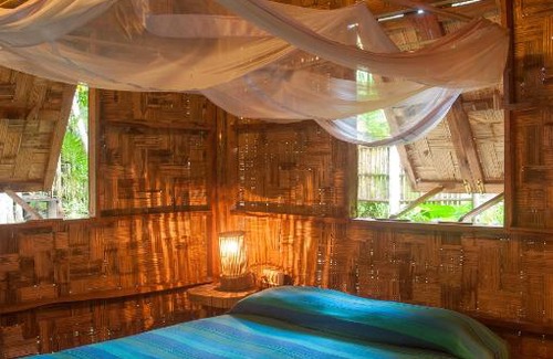 Havelock Island Cabin | The Forest Elephant - Formerly known as the Flying Elephant