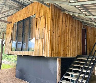 Pai Cabin | The Forest - Sell the Experience