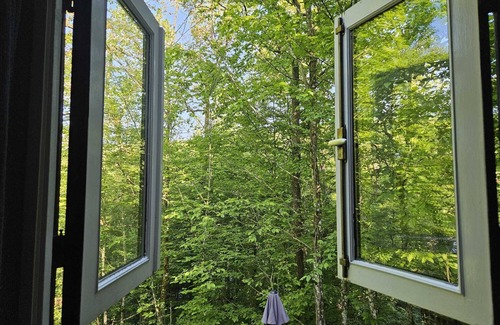 Bohon Ski Chalet | The forest triangle I (chalet 118) Renovated chalet on a vacation park in Durbuy.