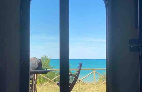 Vasto Villa | The Fox In The Pine Forest